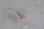 20140209c.jpg