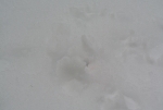 20140209d.jpg