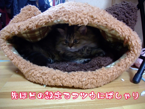 20120901_101115.jpg