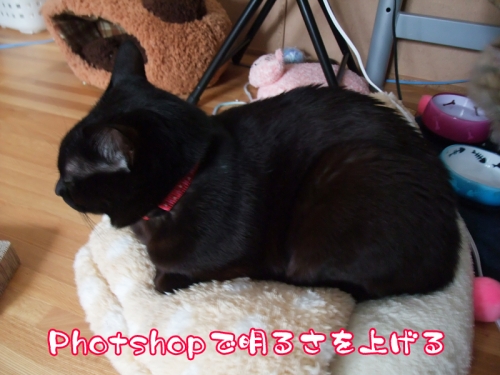 DSCF3924 のコピー