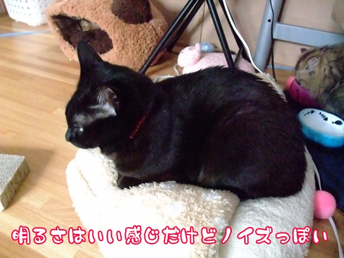DSCF3922.jpg