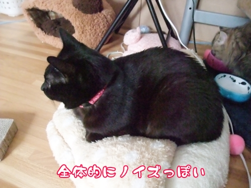DSCF3923.jpg