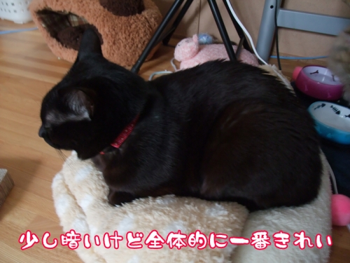 DSCF3924.jpg