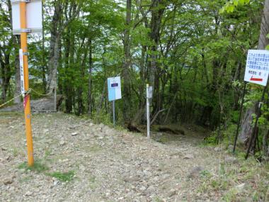 CIMG1548.jpg