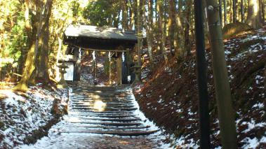 sDSC_0207.jpg