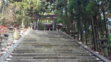 sDSC_0215.jpg