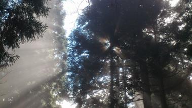 sDSC_0221.jpg