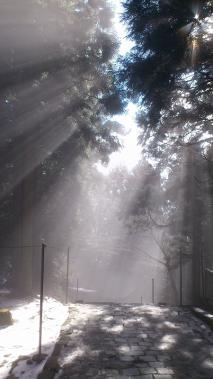 sDSC_0222.jpg
