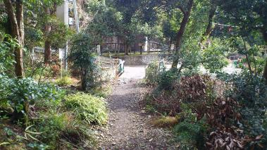 sDSC_0235.jpg