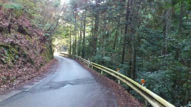 sDSC_0250.jpg