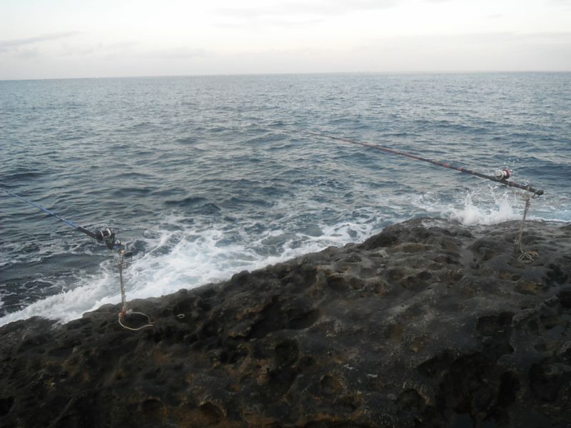 DSCF1715.jpg