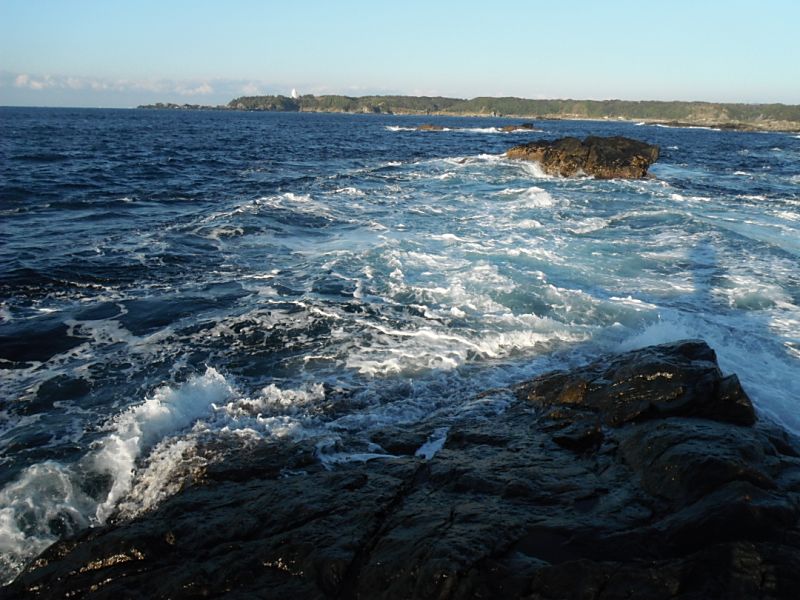 DSCF1717.jpg