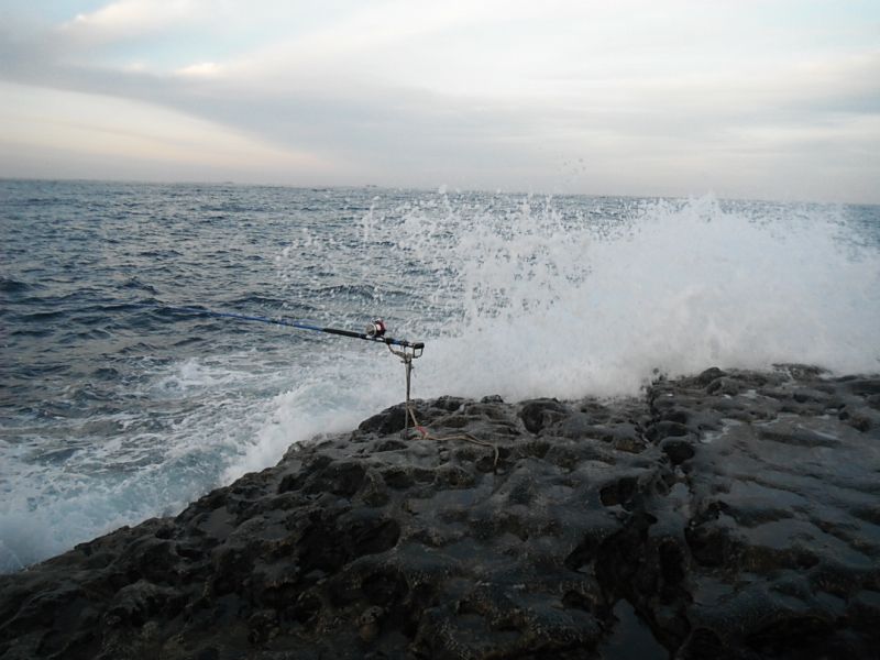 DSCF1721.jpg