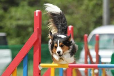20120506221645d96s_convert_20120507145259.jpg