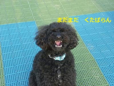 ちゅー4