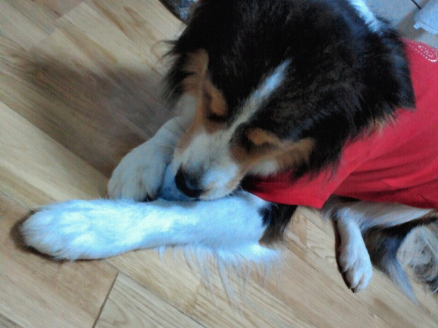 moblog_06094d55.jpg