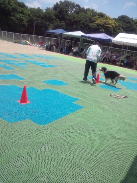moblog_538f46de.jpg