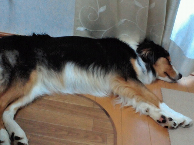 moblog_dd899116.jpg