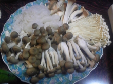 ポケさんの食いしん坊日記