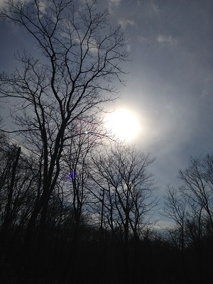 141112sun.jpg