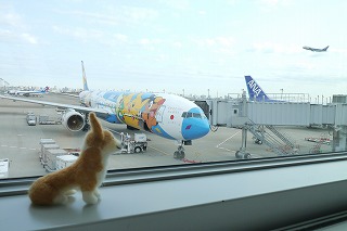 120512P1050439.jpg