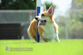 D3J_1654-1.jpg