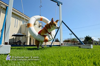 D3R_1798.jpg