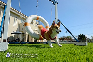 D3R_1800.jpg