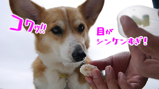 P1070305R.jpg