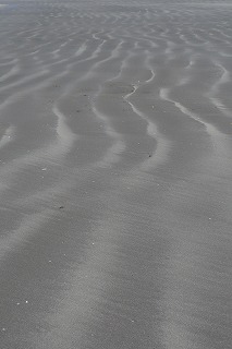 P1080919.jpg