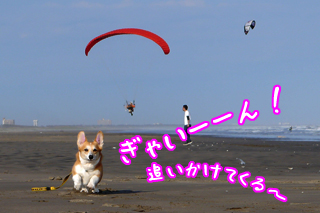 P1100471R.jpg