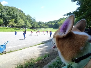 P1110270.jpg