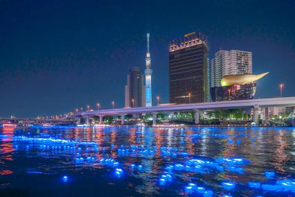 20120506-_DSC3525-2.jpg