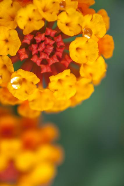 20120622-_DSC6027-3.jpg