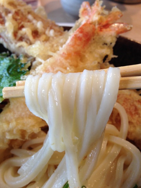 IMG_0510_20121116230356.jpg