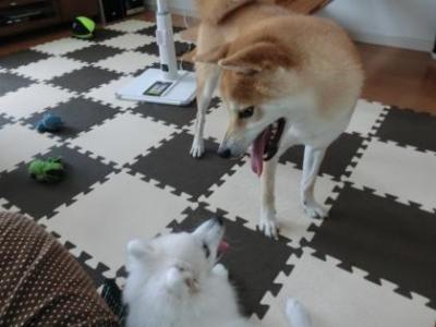 201210121.jpg