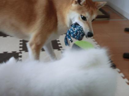 CIMG1737_convert_20121002175508.jpg