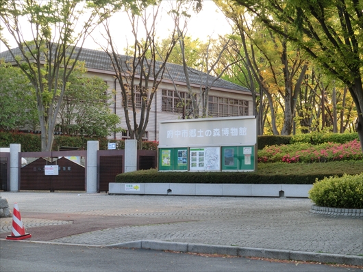 CIMG4760_R.jpg