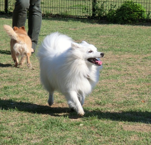 CIMG4862_R.jpg