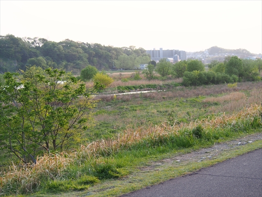 P4150020_R.jpg