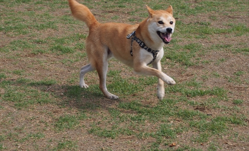 P5120021_R.jpg
