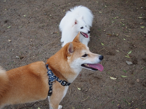 P5120040_R.jpg