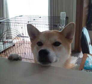 fc2blog_20121003081552c23.jpg