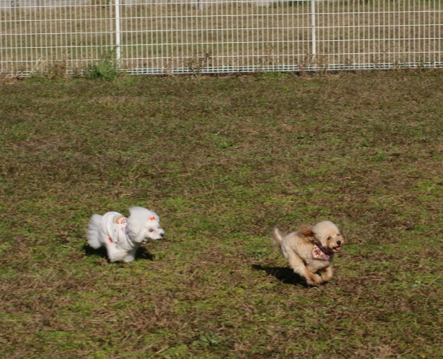 11DSC00377.jpg