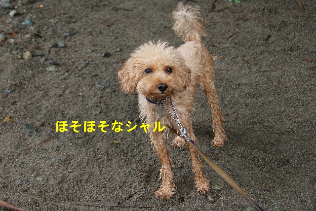 12DSC05292.jpg