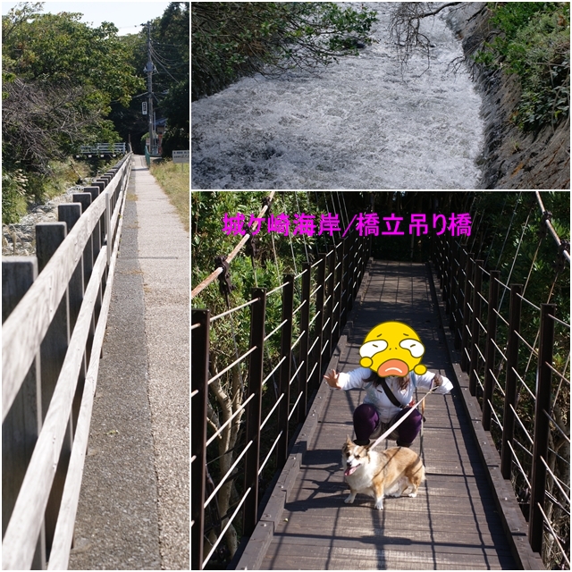 2-00DSC09683.jpg