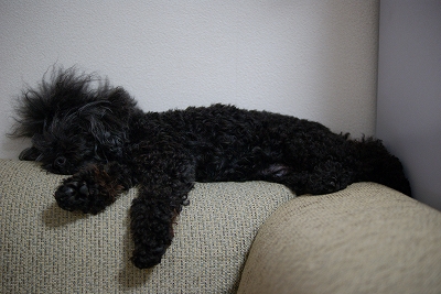 DSC00008.jpg