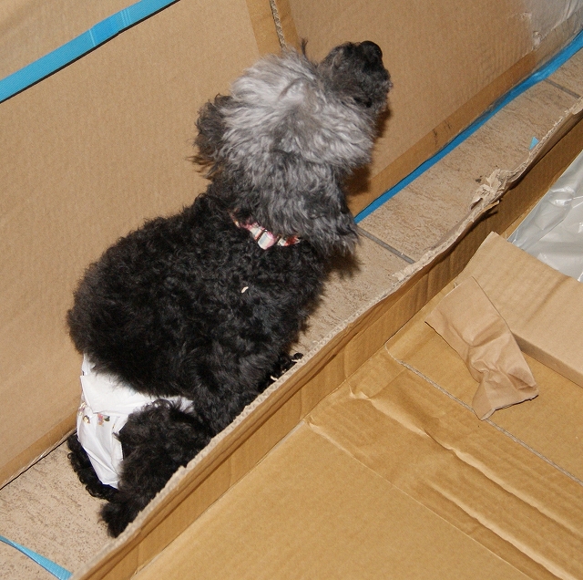 DSC08175.jpg