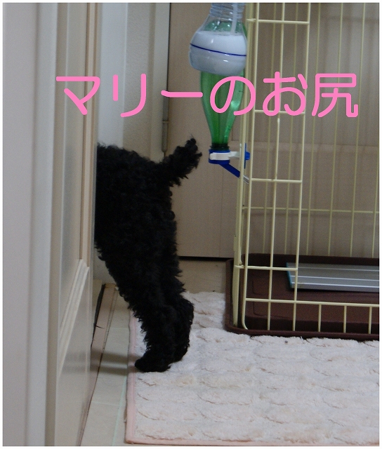 DSC08224.jpg