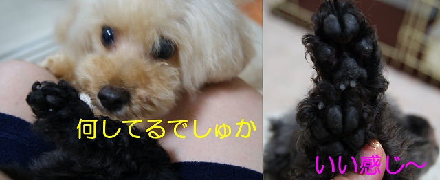 DSC08236.jpg